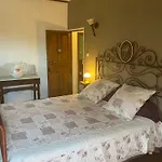 L'alma Viva
