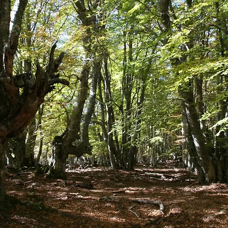 Gasthof L'alma Viva Verdese