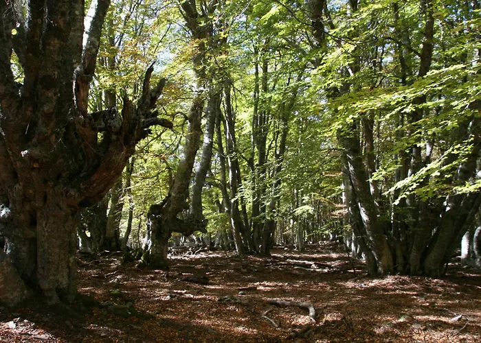 Penzion L'alma Viva Verdese