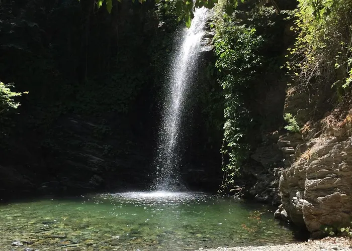 L'alma Viva 3* Verdese